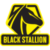 Black Stallion